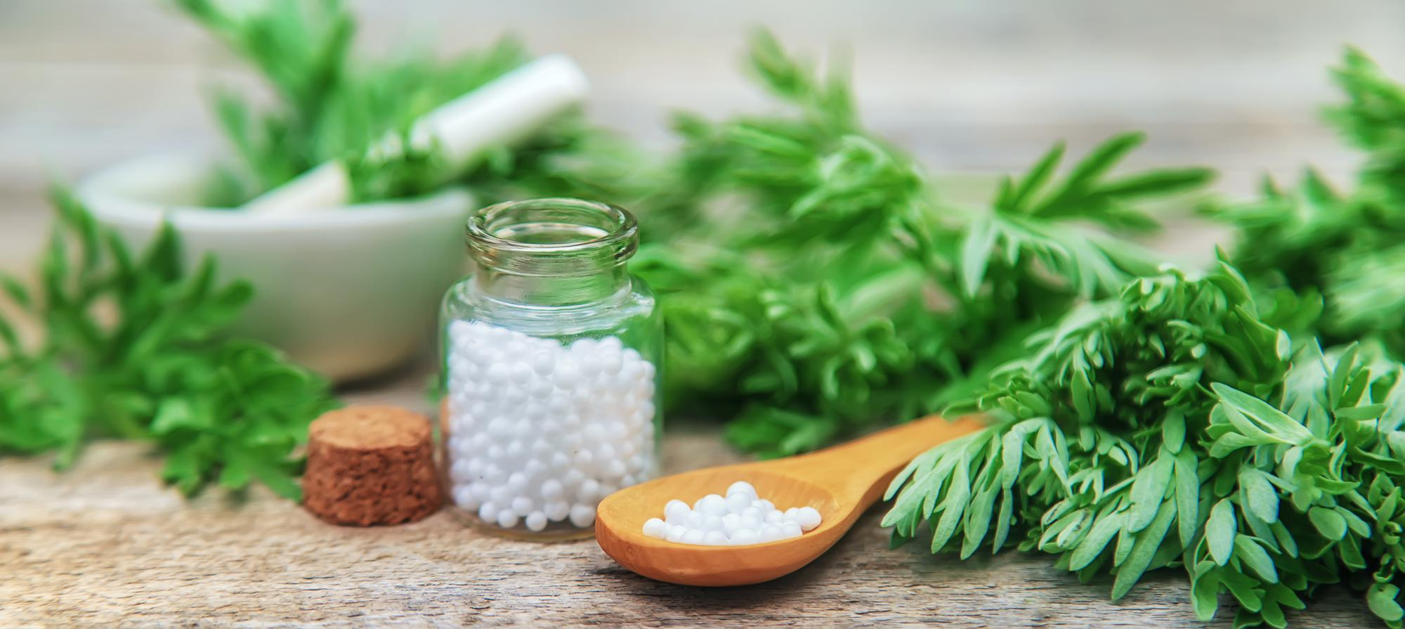 The Ideal Age to Start Coding: A Psychology & Skill-Based Breakdown